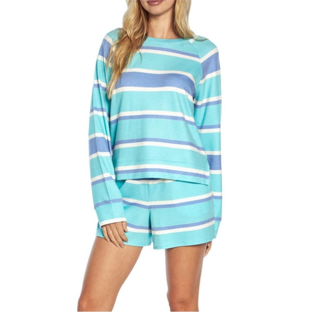 Wildfox Blue White and Turquoise Striped Lounge Long Sleeve Crewneck Sweater
